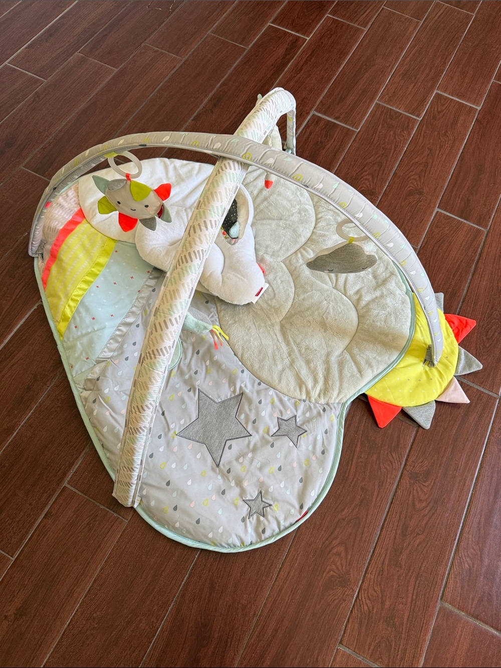 EUC Skip Hop Tummy Time and Activity Mat and Play Gym